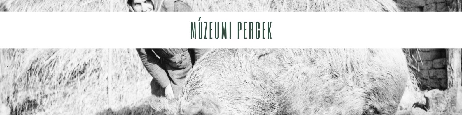 Múzeumi Percek