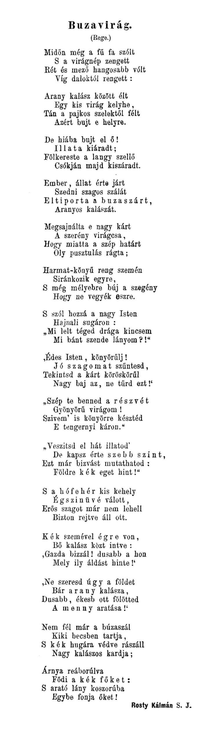 Búzavirág (Rege) Midőn még a fű, fa szólt S a virágnép zengett Rét és mező hangosabb volt Víg daloktól rengett: Arany kalász között élt Egy kis virág kelyhe, Tán a pajkos szelektől félt Azért bújt e helyre. De hiába bújt el ő! Illata kiáradt, Fölkereste a langy szellő Csókján majd kiszáradt. Ember, állat érte járt Szedni szagos szálát Eltiporta a búzaszárt, Aranyos kalászát. Megsajnálta e nagy kárt A szerény virágcsa, Hogy miatta a szép határt Oly pusztulás rágta, Harmat-könyű reng szemén Siránkozik egyre S még mélyebbre búj szegény Hogy ne vegyék észre. S szól hozzá a nagy Isten Hajnali sugáron: „Mi lelt téged drága kincsem Mi bánt szende lányom?!” „Édes Isten, könyörülj! Jó szagomat szűntesd, Tekintsd a kárt köröskörül Nagy baj ez, ne tűrd ezt!” „Szép te benned a részvét Gyönyörű virágom! Szívem is könyörre késztéd E tengernyi káron.” „Veszítsd el hát illatod De kapsz érte szebb színt, Ezt már bízvást mutathatod: Földre kék eget hint!” S a hófehér kis kehely Égszínűvé válott, Erős szagot már nem lehell Biztos rejtve áll ott. Kék szemével égre von, Bő kalász közt intve: „Gazda bízzál! dúsabb a hon Mely ily áldást hinte! „Ne szeresd úgy a földet Bár arany kalásza, Dúsabb, ékesb ott fölötted A menny aratása!” Nem fél már a búzaszál Ki-ki becsben tartja. S kék hugára védve rászáll Nagy kalászos kardja. Árnya reá borulva Födi a kék főket: S arató lány koszorúba Egybe fonja őket.