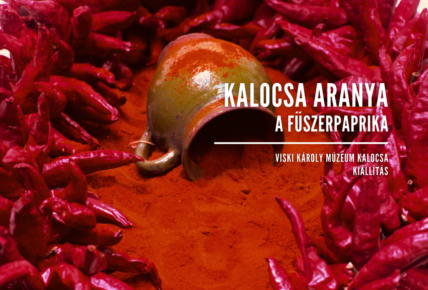 Kalocsa Aranya – A fűszerpaprika